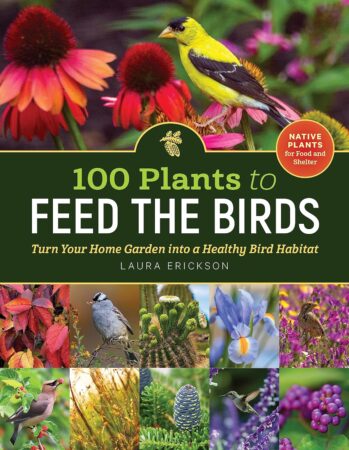 100 Plants to Feed the Birds Book Cover