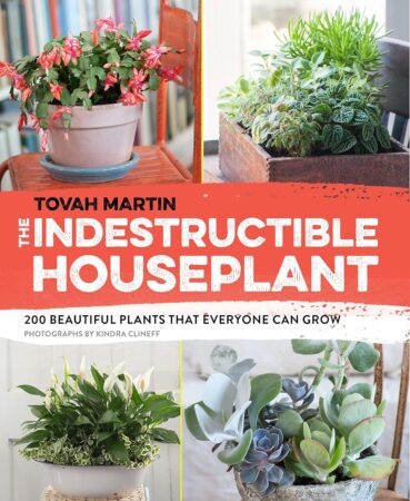 The Indestructible Houseplant Book Cover