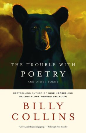 The Trouble with Poetry book cover