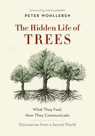 The Hidden Life of Trees book cover