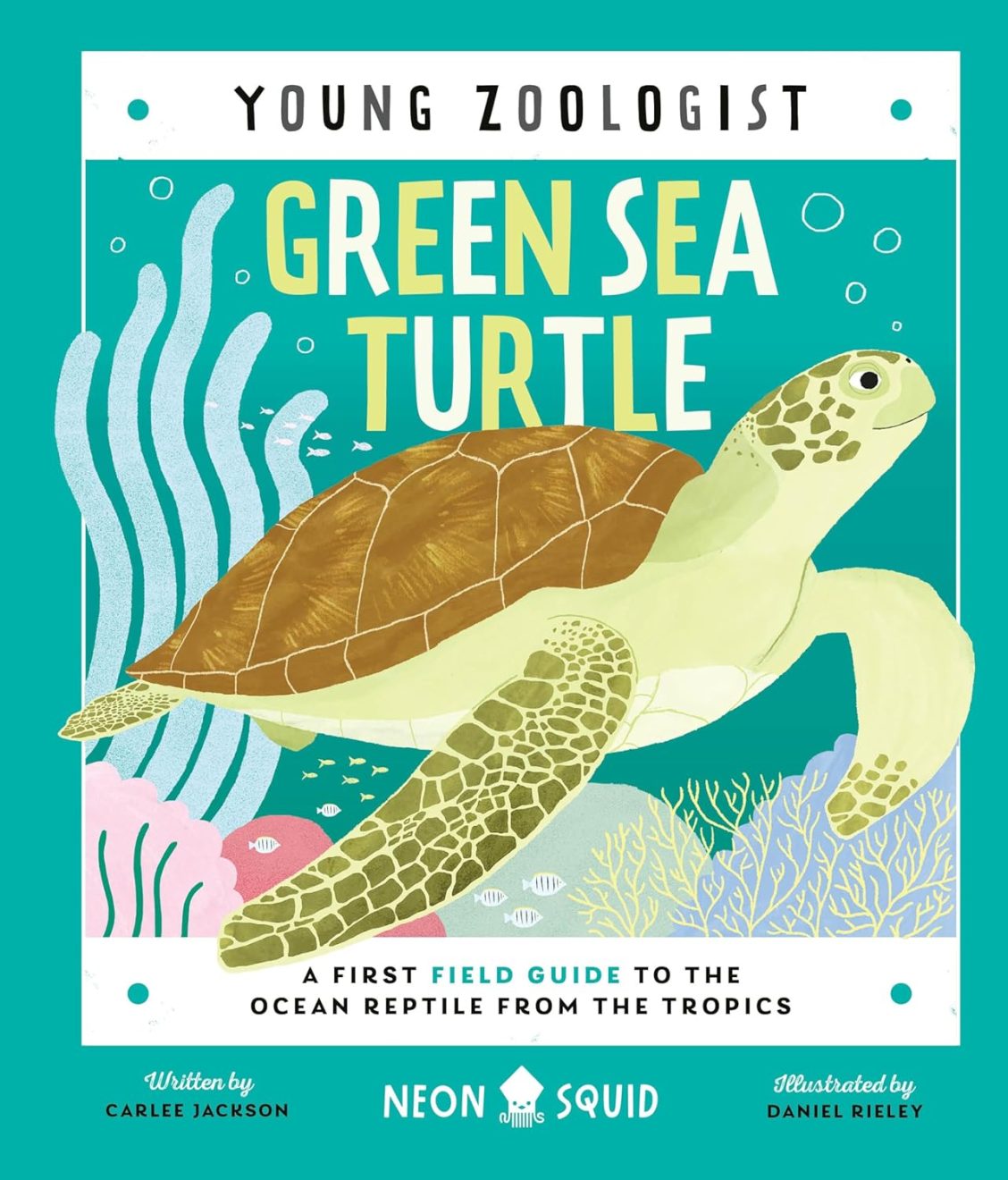 GreenSeaTurtle_CarleeJackson Green Sea Turtle by Carlee Jackson