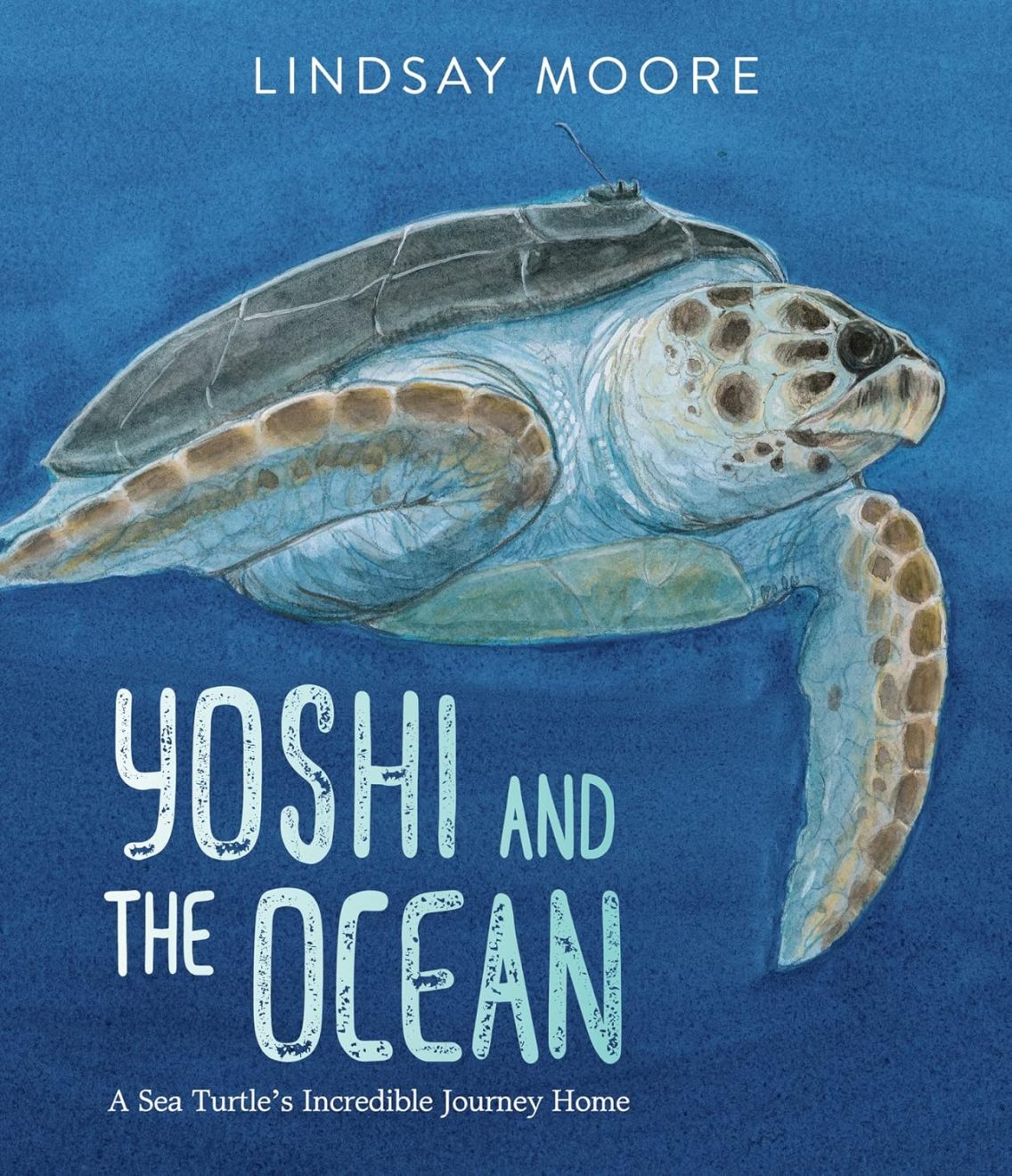 YoshiandtheOcean_LindsayMoore Yoshi and the Ocean by Lindsay Moore